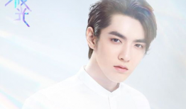 吃瓜爆料李易峰许凯,娱乐圈风云再起