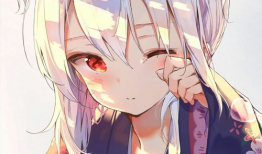 动漫的图,探寻角色背后的故事与魅力